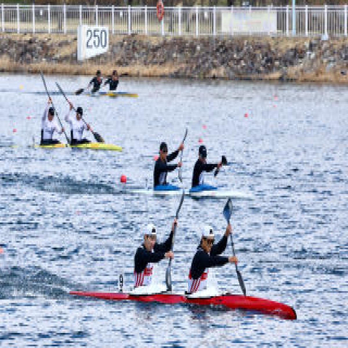 보도자료 썸네일